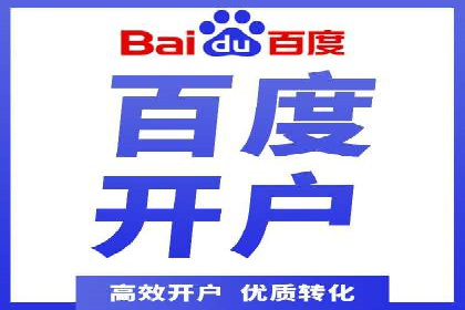 某电商平台的SEM优化托管实践与效果评估